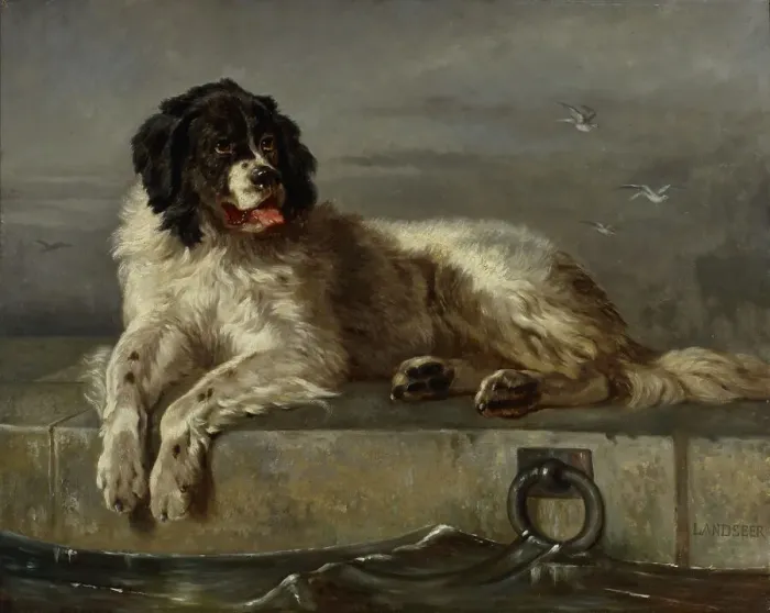 Framed Print : A Distinguished Member of the Humane Society, 1850-1899. Creator: Follower of Edwin Henry Landseer Framed Print : A Distinguished Member of the Humane Society, 1850-1899. Creator: Follower of Edwin Henry Landseer