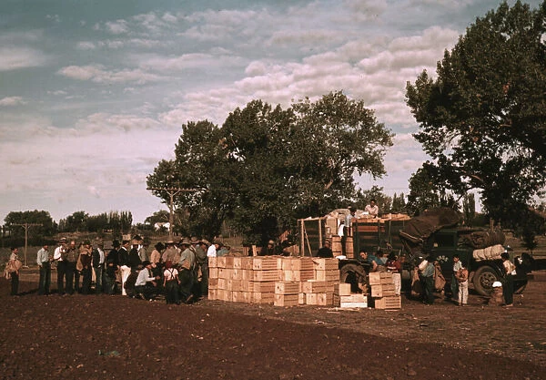 Distributing surplus commodities, St. Johns, Ariz. 1940. Creator: Russell Lee