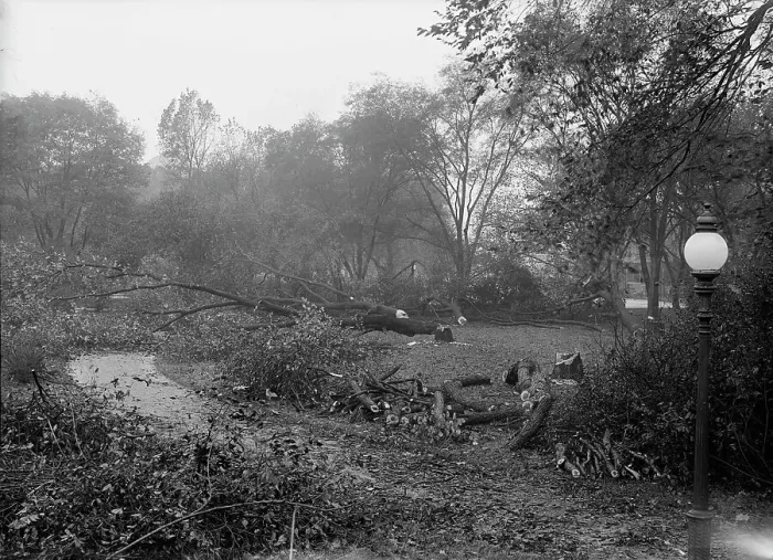Framed Print : District of Columbia Parks - Cutting Trees On Mall Sites For War Buildings, 1917. Creator: Harris & Ewing. District of Columbia Parks - Cutting Trees On Mall Sites For War Buildings, 1917. Creator: Harris & Ewing Framed Print : District of Columbia Parks - Cutting Trees On Mall Sites For War Buildings, 1917. Creator: Harris & Ewing. District of Columbia Parks - Cutting Trees On Mall Sites For War Buildings, 1917. Creator: Harris & Ewing