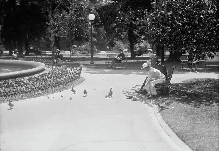 Framed Print : District of Columbia Parks - Feeding Pigeons in The Parks, 1917. Creator: Harris & Ewing. District of Columbia Parks - Feeding Pigeons in The Parks, 1917. Creator: Harris & Ewing Framed Print : District of Columbia Parks - Feeding Pigeons in The Parks, 1917. Creator: Harris & Ewing. District of Columbia Parks - Feeding Pigeons in The Parks, 1917. Creator: Harris & Ewing