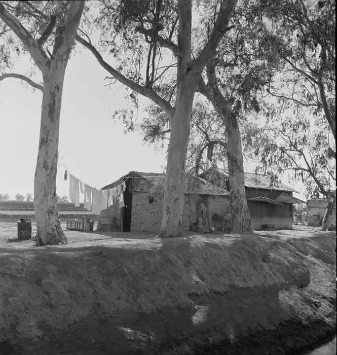 Framed Print : Ditch bank housing for Mexican field workers, Imperial Valley, California, 1937. Creator: Dorothea Lange Framed Print : Ditch bank housing for Mexican field workers, Imperial Valley, California, 1937. Creator: Dorothea Lange