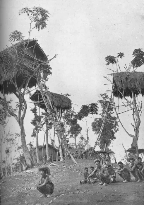 Framed Print : Dobos, tree houses for unmarried women in Melanesia, 1902. Artist: W Lindt Framed Print : Dobos, tree houses for unmarried women in Melanesia, 1902. Artist: W Lindt