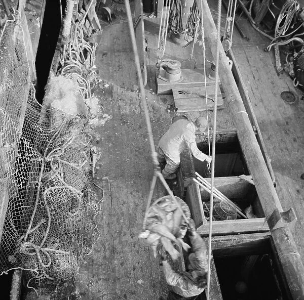 Dock stevedores at the Fulton fish market sending up baskets of fish... New York, 1943. Creator: Gordon Parks