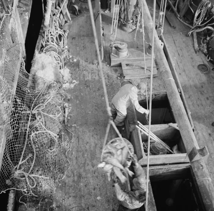 Framed Print : Dock stevedores at the Fulton fish market sending up baskets of fish... New York, 1943. Creator: Gordon Parks Framed Print : Dock stevedores at the Fulton fish market sending up baskets of fish... New York, 1943. Creator: Gordon Parks