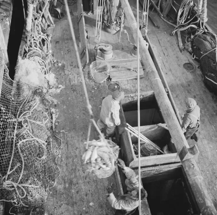 Framed Print : Dock stevedores at the Fulton fish market sending up baskets of fish from... New York, 1943. Creator: Gordon Parks Framed Print : Dock stevedores at the Fulton fish market sending up baskets of fish from... New York, 1943. Creator: Gordon Parks