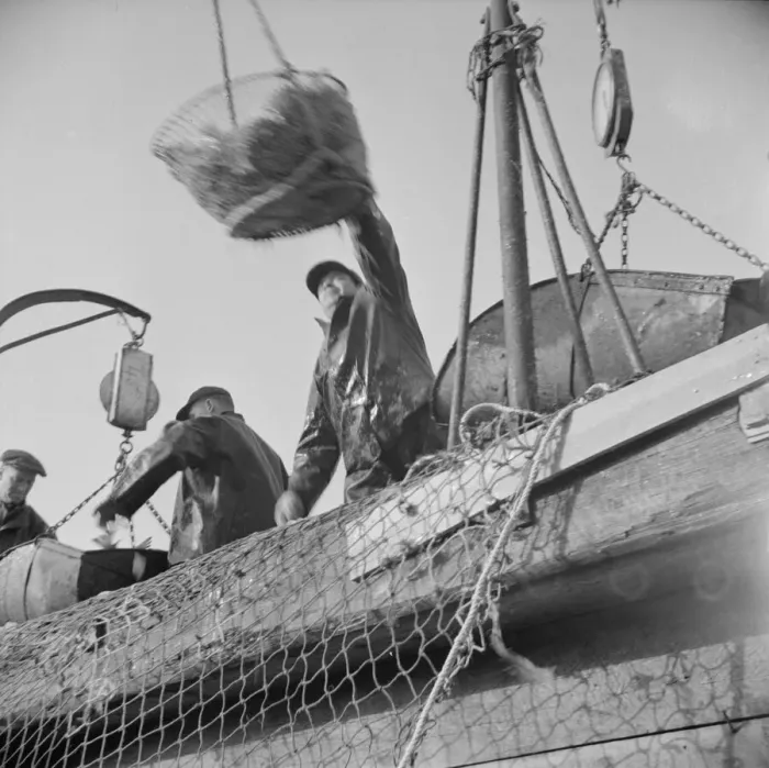 Framed Print : Dock stevedores at the Fulton fish market sending up baskets of fish... New York, 1943. Creator: Gordon Parks Framed Print : Dock stevedores at the Fulton fish market sending up baskets of fish... New York, 1943. Creator: Gordon Parks