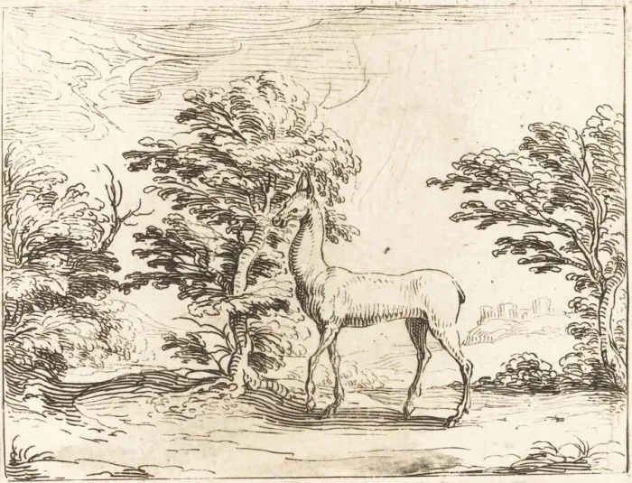 Framed Print : The Doe. Creator: Jacques Callot Framed Print : The Doe. Creator: Jacques Callot