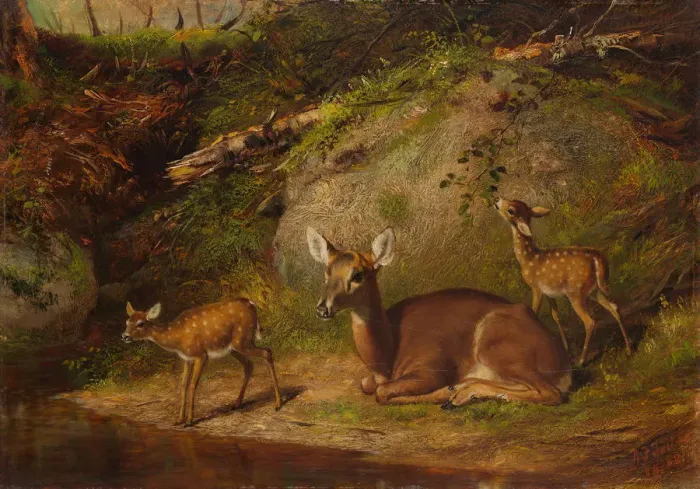 Framed Print : Doe and Two Fawns, 1882. Creator: Arthur Fitzwilliam Tait Framed Print : Doe and Two Fawns, 1882. Creator: Arthur Fitzwilliam Tait