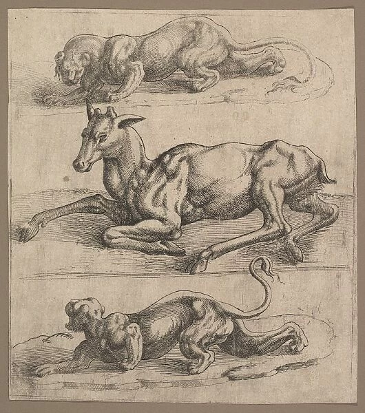 A Doe and Two Lionesses, ca. 1540. Creator: Attributed to Jan Cornelisz Vermeyen