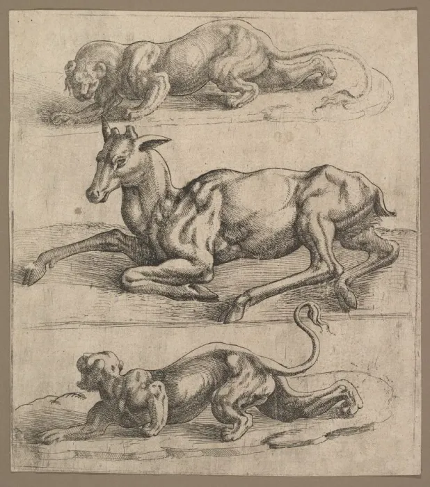 Framed Print : A Doe and Two Lionesses, ca. 1540. Creator: Attributed to Jan Cornelisz Vermeyen Framed Print : A Doe and Two Lionesses, ca. 1540. Creator: Attributed to Jan Cornelisz Vermeyen