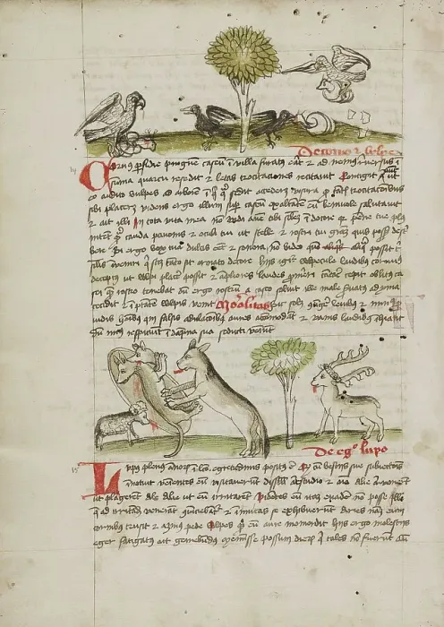 Framed Print : A Dog Biting a Wolf Laying Near his Den and Nearby a Sheep, a Donkey... third quarter of 15th cent. Creator: Unknown Framed Print : A Dog Biting a Wolf Laying Near his Den and Nearby a Sheep, a Donkey... third quarter of 15th cent. Creator: Unknown