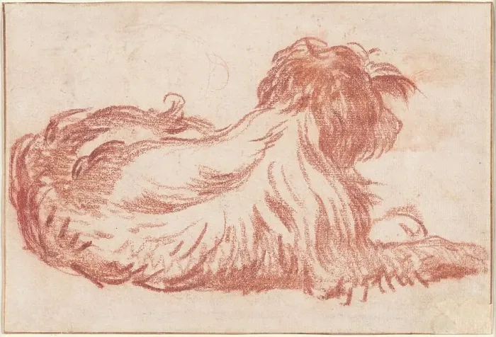 Framed Print : A Dog, c. 1760. Creator: Jean-Baptiste Greuze Framed Print : A Dog, c. 1760. Creator: Jean-Baptiste Greuze