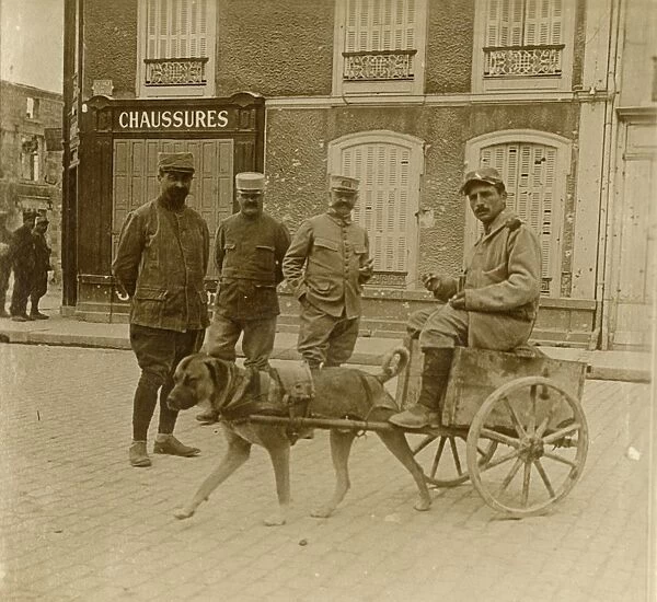 Dog-cart, France, c1914-c1918