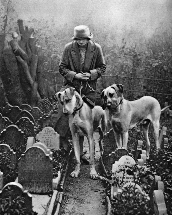 Framed Print : Dog cemetery, Victoria Gate, Bayswater, London, 1926-1927 Framed Print : Dog cemetery, Victoria Gate, Bayswater, London, 1926-1927