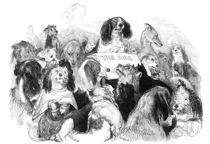 Framed Print : The Dog Bill Committee, drawn by T. Landseer, 1844. Creator: Thomas Landseer Framed Print : The Dog Bill Committee, drawn by T. Landseer, 1844. Creator: Thomas Landseer