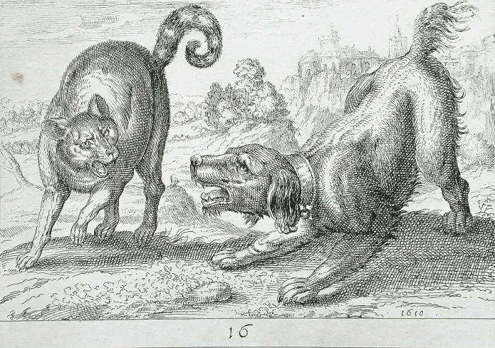 Framed Print : A Dog Fighting a Cat, 1610. Creator: Hendrick Hondius I Framed Print : A Dog Fighting a Cat, 1610. Creator: Hendrick Hondius I