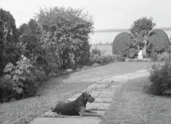 Framed Print : Dog on the grounds of The Shallows, property of Lucien Hamilton Tyng, Southampton, Long Island, 19 Creator: Arnold Genthe. Dog on the grounds of The Shallows, property of Lucien Hamilton Tyng, Southampton, Long Island Framed Print : Dog on the grounds of The Shallows, property of Lucien Hamilton Tyng, Southampton, Long Island, 19 Creator: Arnold Genthe. Dog on the grounds of The Shallows, property of Lucien Hamilton Tyng, Southampton, Long Island