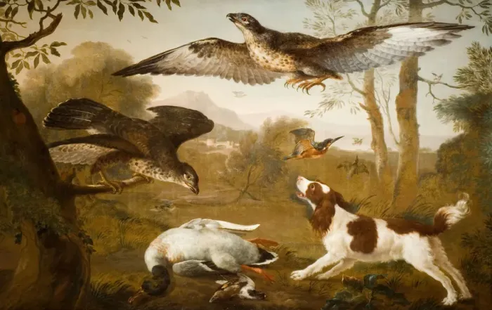 Framed Print : Dog Guarding a Dead Duck From Birds of Prey, 1700-1800. Creator: Unknown Framed Print : Dog Guarding a Dead Duck From Birds of Prey, 1700-1800. Creator: Unknown