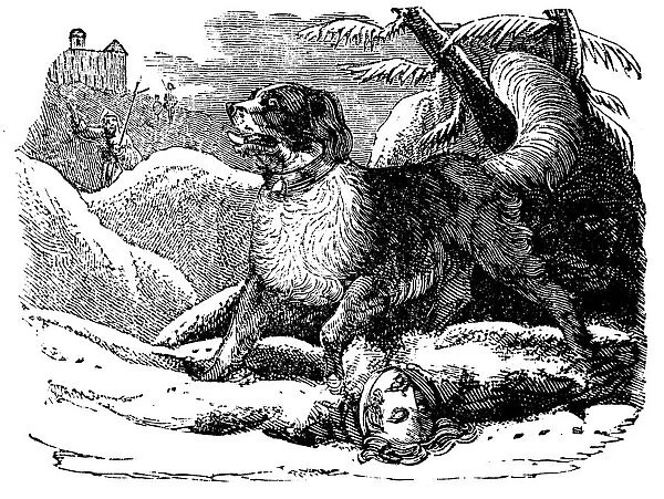 Dog from the Hospice of St Bernard finding a traveller in the snow, c1840