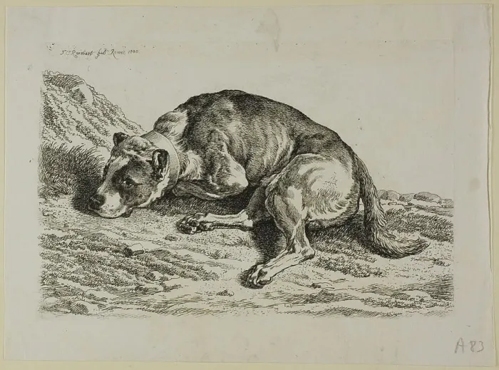 Framed Print : Dog Laying Down, from from Die Zweite Thierfolge, 1799 / 1803. Creator: Johann Christian Reinhart Framed Print : Dog Laying Down, from from Die Zweite Thierfolge, 1799 / 1803. Creator: Johann Christian Reinhart