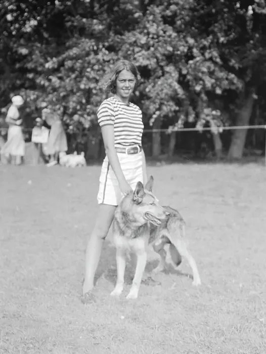 Framed Print : Dog show, East Hampton, Long Island, between 1933 and 1942. Creator: Arnold Genthe Framed Print : Dog show, East Hampton, Long Island, between 1933 and 1942. Creator: Arnold Genthe