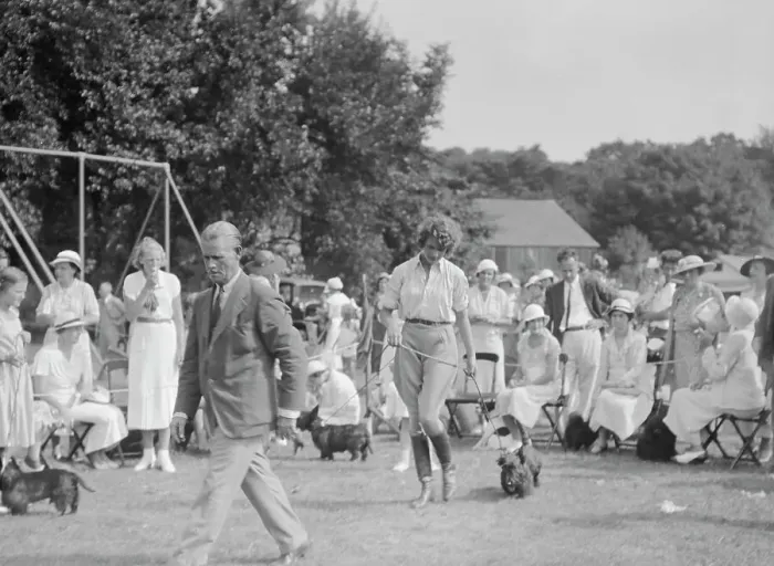 Framed Print : Dog show, East Hampton, Long Island, between 1933 and 1942. Creator: Arnold Genthe Framed Print : Dog show, East Hampton, Long Island, between 1933 and 1942. Creator: Arnold Genthe