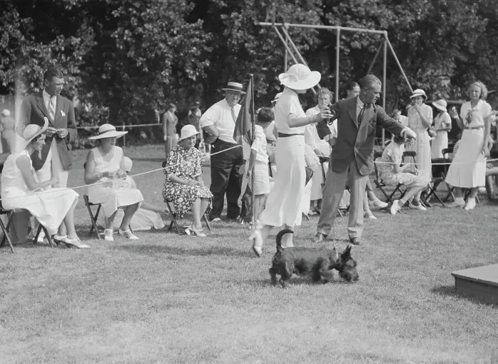 Framed Print : Dog show, East Hampton, Long Island, between 1933 and 1942. Creator: Arnold Genthe Framed Print : Dog show, East Hampton, Long Island, between 1933 and 1942. Creator: Arnold Genthe