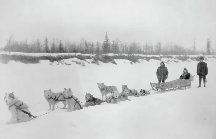 Framed Print : Dog sled team, between c1900 and 1927. Creator: Unknown Framed Print : Dog sled team, between c1900 and 1927. Creator: Unknown