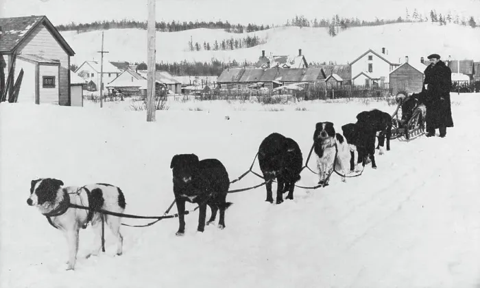 Framed Print : Dog sled team, between c1900 and c1930. Creator: Unknown Framed Print : Dog sled team, between c1900 and c1930. Creator: Unknown