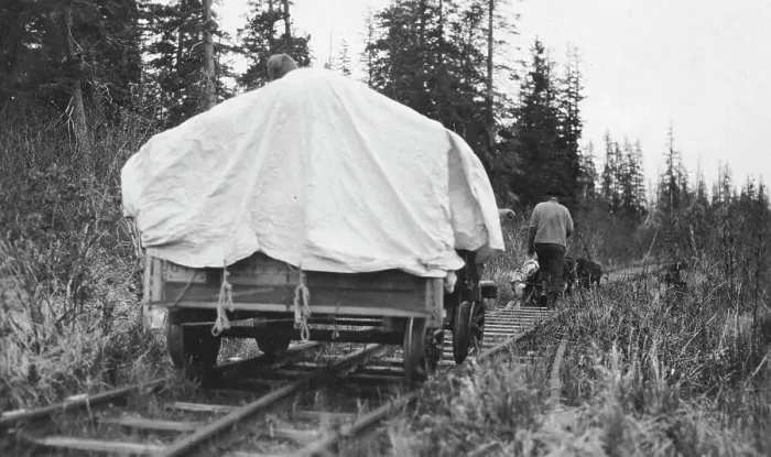 Framed Print : Dog team pulling railroad cart, between c1900 and c1930. Creator: Unknown Framed Print : Dog team pulling railroad cart, between c1900 and c1930. Creator: Unknown