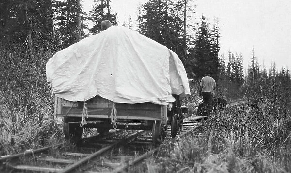 Dog team pulling railroad cart, between c1900 and c1930. Creator: Unknown