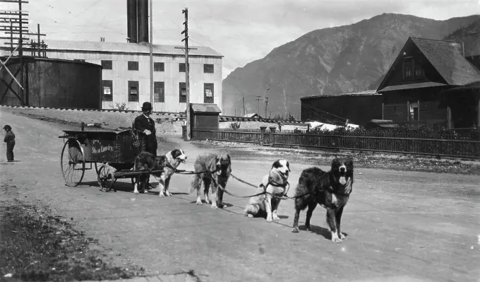 Framed Print : Dog team used to deliver laundry, between c1900 and 1923. Creator: Unknown Framed Print : Dog team used to deliver laundry, between c1900 and 1923. Creator: Unknown