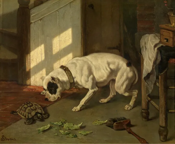 Framed Print : Dog with Tortoise, c1840-1890. Creator: Joseph Stevens Framed Print : Dog with Tortoise, c1840-1890. Creator: Joseph Stevens