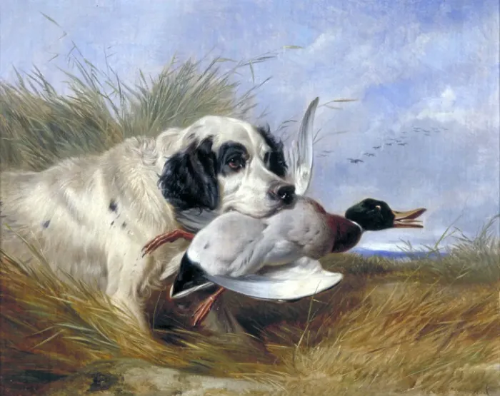 Framed Print : Dog with Wild Duck, 19th century. Artist: Richard Ansdell Framed Print : Dog with Wild Duck, 19th century. Artist: Richard Ansdell