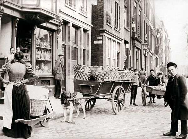 Dogcart, Antwerp, 1898. Artist: James Batkin