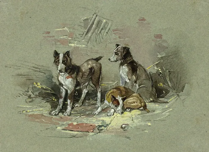 Framed Print : Three Dogs in an Alley, 1825-1877. Creator: Charles B Newhouse Framed Print : Three Dogs in an Alley, 1825-1877. Creator: Charles B Newhouse