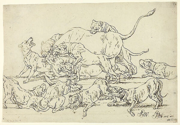 Dogs Attacking a Bull, 1789. Creator: Joseph Georg Winter