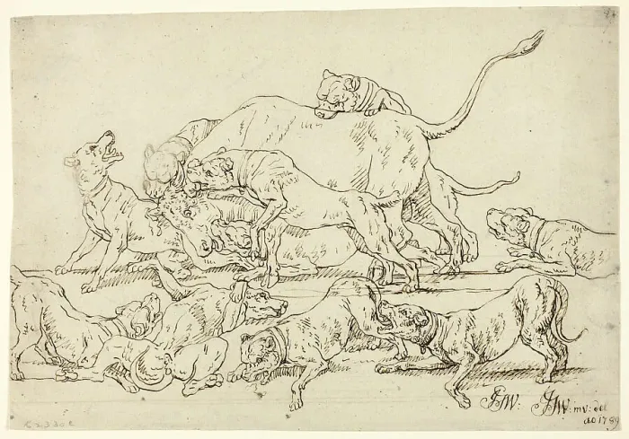 Framed Print : Dogs Attacking a Bull, 1789. Creator: Joseph Georg Winter Framed Print : Dogs Attacking a Bull, 1789. Creator: Joseph Georg Winter
