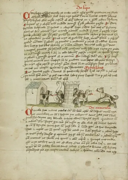 Framed Print : Two Dogs Barking and Cubs; Fables, third quarter of 15th century. Creator: Unknown Framed Print : Two Dogs Barking and Cubs; Fables, third quarter of 15th century. Creator: Unknown