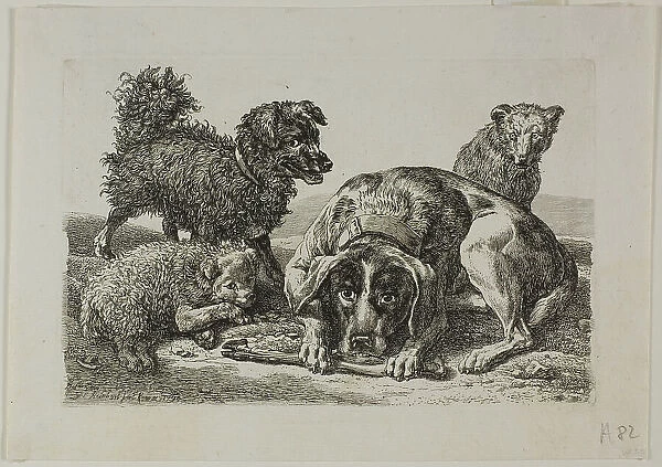 Four Dogs, from Die Zweite Thierfolge, 1799 / 1803. Creator: Johann Christian Reinhart