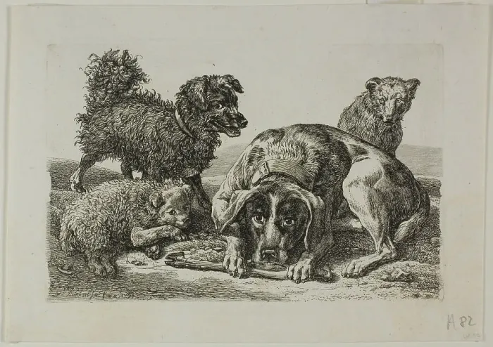 Framed Print : Four Dogs, from Die Zweite Thierfolge, 1799 / 1803. Creator: Johann Christian Reinhart Framed Print : Four Dogs, from Die Zweite Thierfolge, 1799 / 1803. Creator: Johann Christian Reinhart