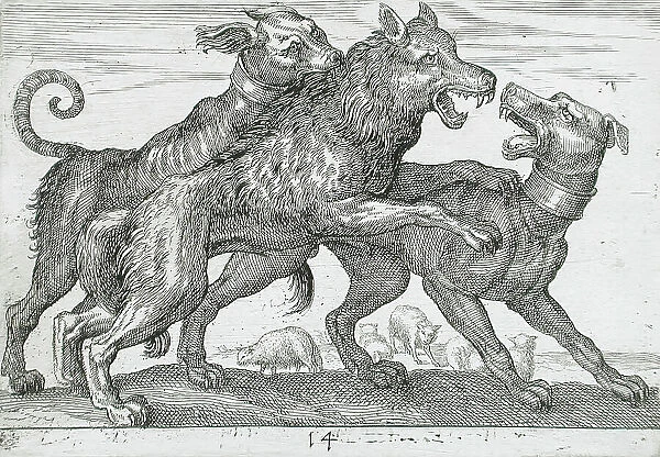 Three Dogs Fighting, 1610. Creator: Hendrick Hondius I