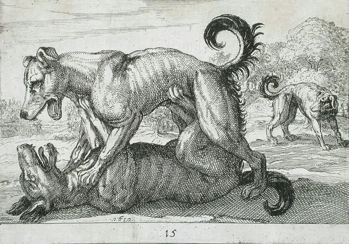 Framed Print : Two Dogs Fighting, 1610. Creator: Hendrick Hondius I Framed Print : Two Dogs Fighting, 1610. Creator: Hendrick Hondius I