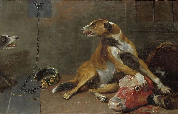 Dogs Fighting over a Flayed Ox's Head, early-mid 17th century. Creator: Workshop of Frans Snyders