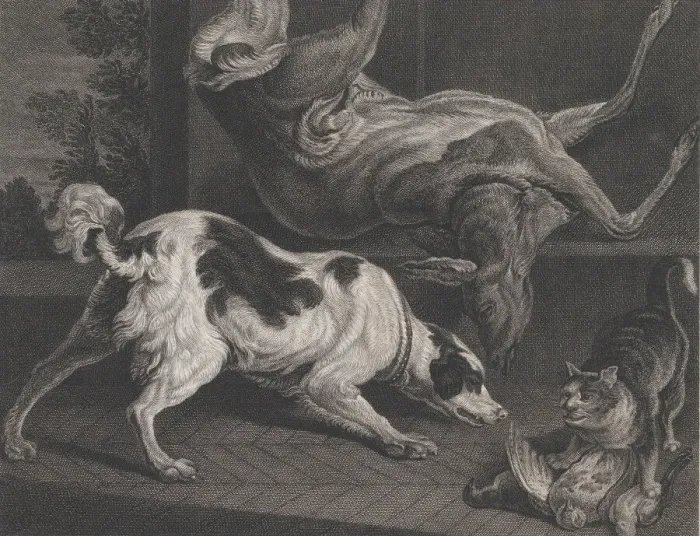 Framed Print : Dogs and Still Life, 1778. Creators: Pierre-Charles Canot, Joseph Farington Framed Print : Dogs and Still Life, 1778. Creators: Pierre-Charles Canot, Joseph Farington
