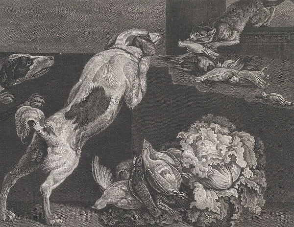 Dogs and Still Life, 1778. Creators: Pierre-Charles Canot, Joseph Farington