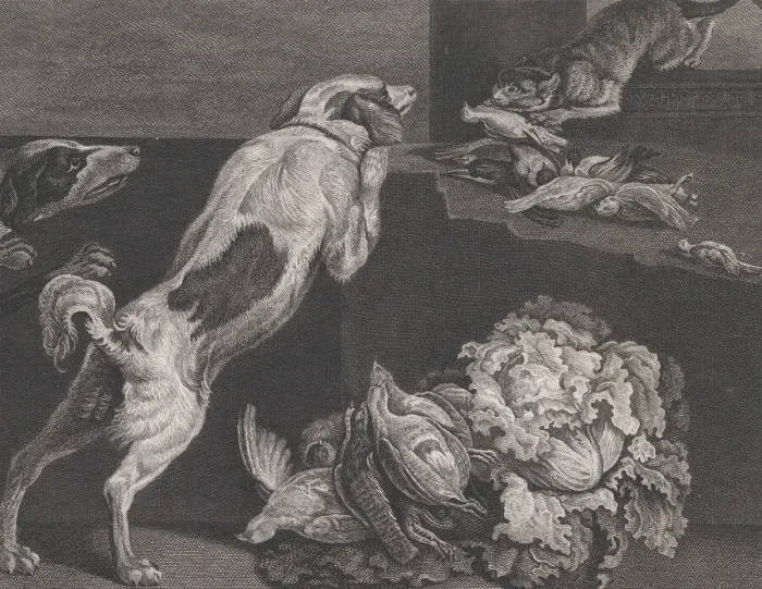 Framed Print : Dogs and Still Life, 1778. Creators: Pierre-Charles Canot, Joseph Farington Framed Print : Dogs and Still Life, 1778. Creators: Pierre-Charles Canot, Joseph Farington