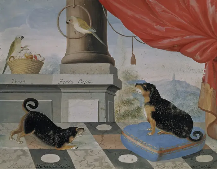 Framed Print : Two dogs and two parrots on a balcony, 1724. Creator: Philip Thelott Framed Print : Two dogs and two parrots on a balcony, 1724. Creator: Philip Thelott