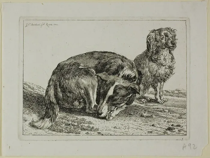 Framed Print : Two Dogs Resting, from Die Zweite Thierfolge, 1800. Creator: Johann Christian Reinhart Framed Print : Two Dogs Resting, from Die Zweite Thierfolge, 1800. Creator: Johann Christian Reinhart