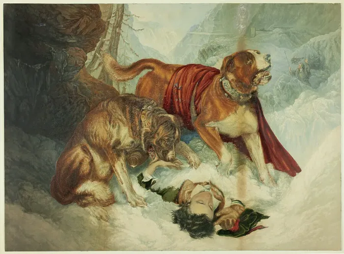 Framed Print : The Dogs of St. Bernard, n.d. Creator: George Baxter Framed Print : The Dogs of St. Bernard, n.d. Creator: George Baxter